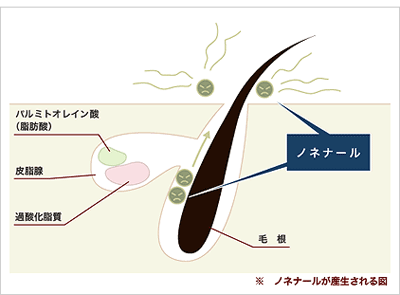̃jIC邵